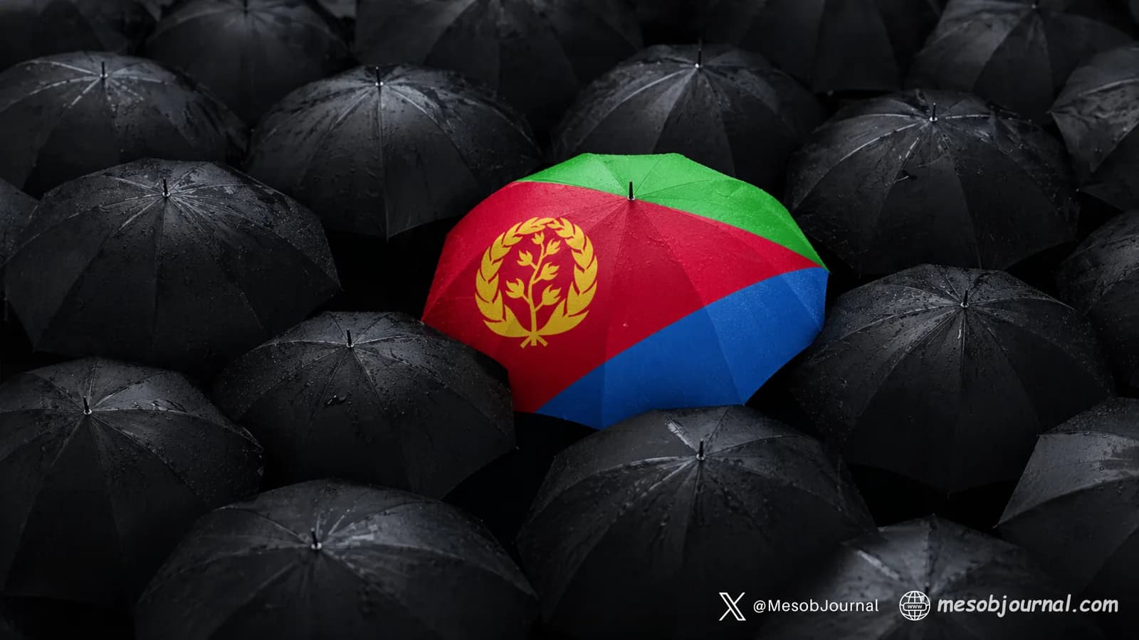 The Eritrean Flag Umbrella