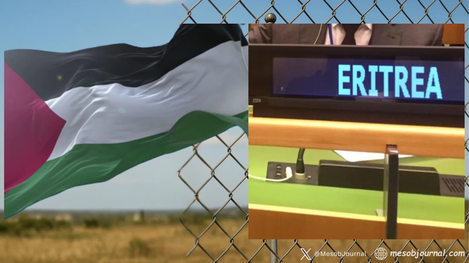 Eritrea-Palestine-UN.png