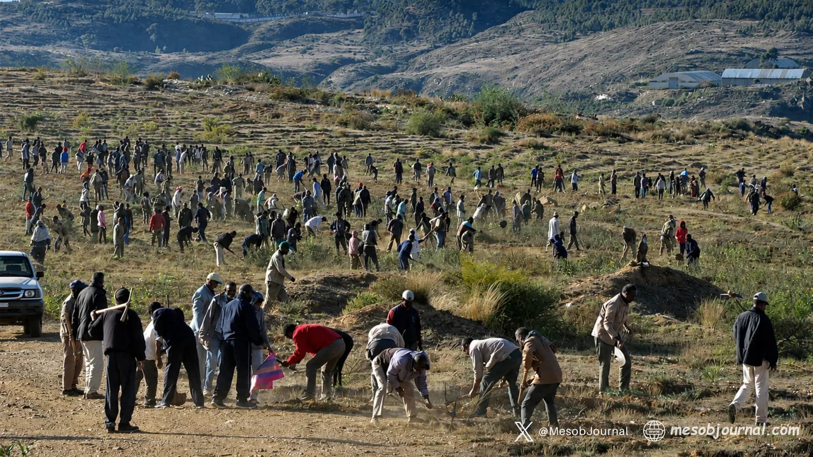 Land restoration work in Eritrea.