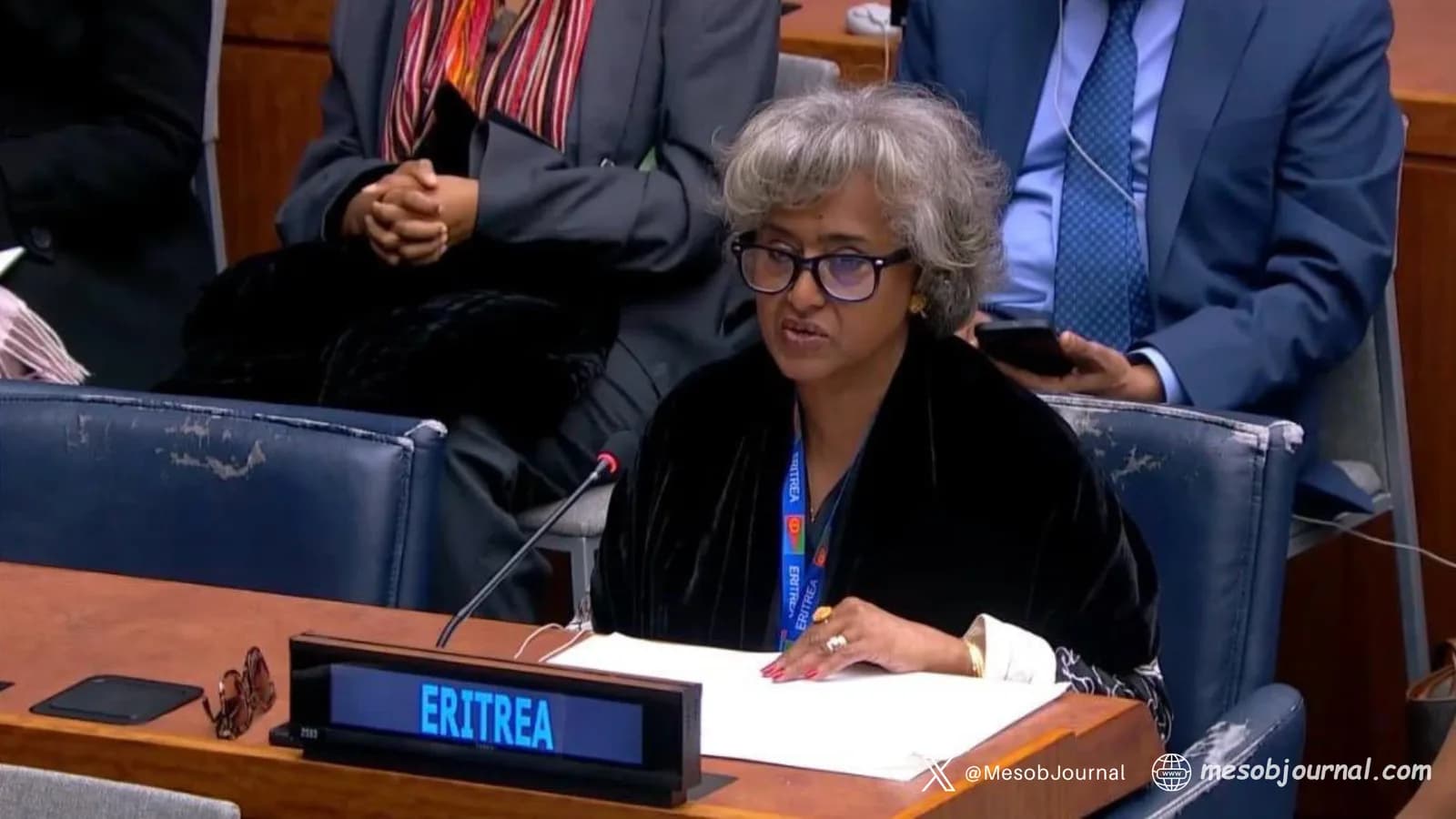 Eritrean representative speaking at the UN.
