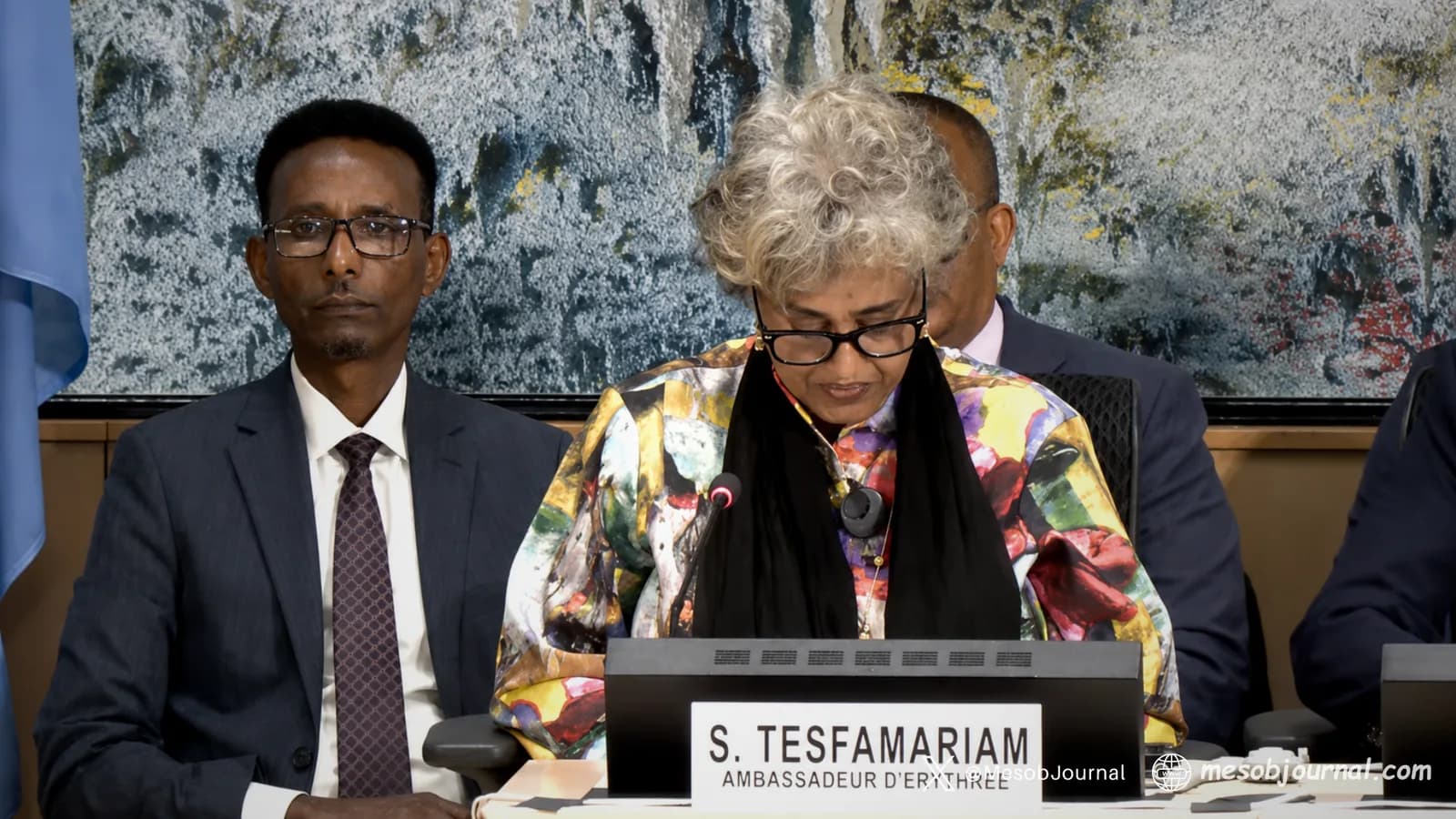 Sophia Tesfamariam speaking at the UN Human Rights Council.