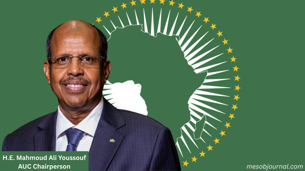 H.E. Mahmoud Ali Youssouf AUC Chairperson